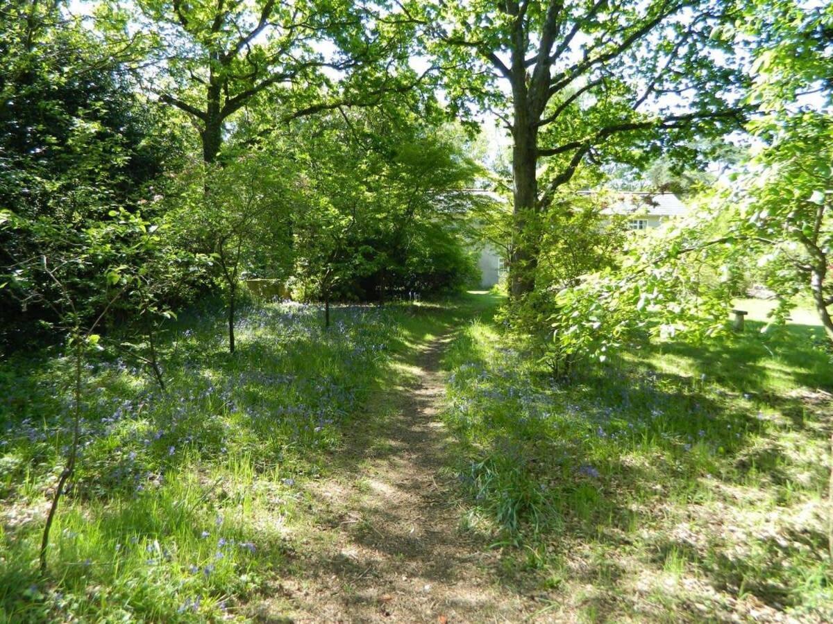 River Cottage A Country Retreat In Wooded Gardens East Stoke  Екстериор снимка