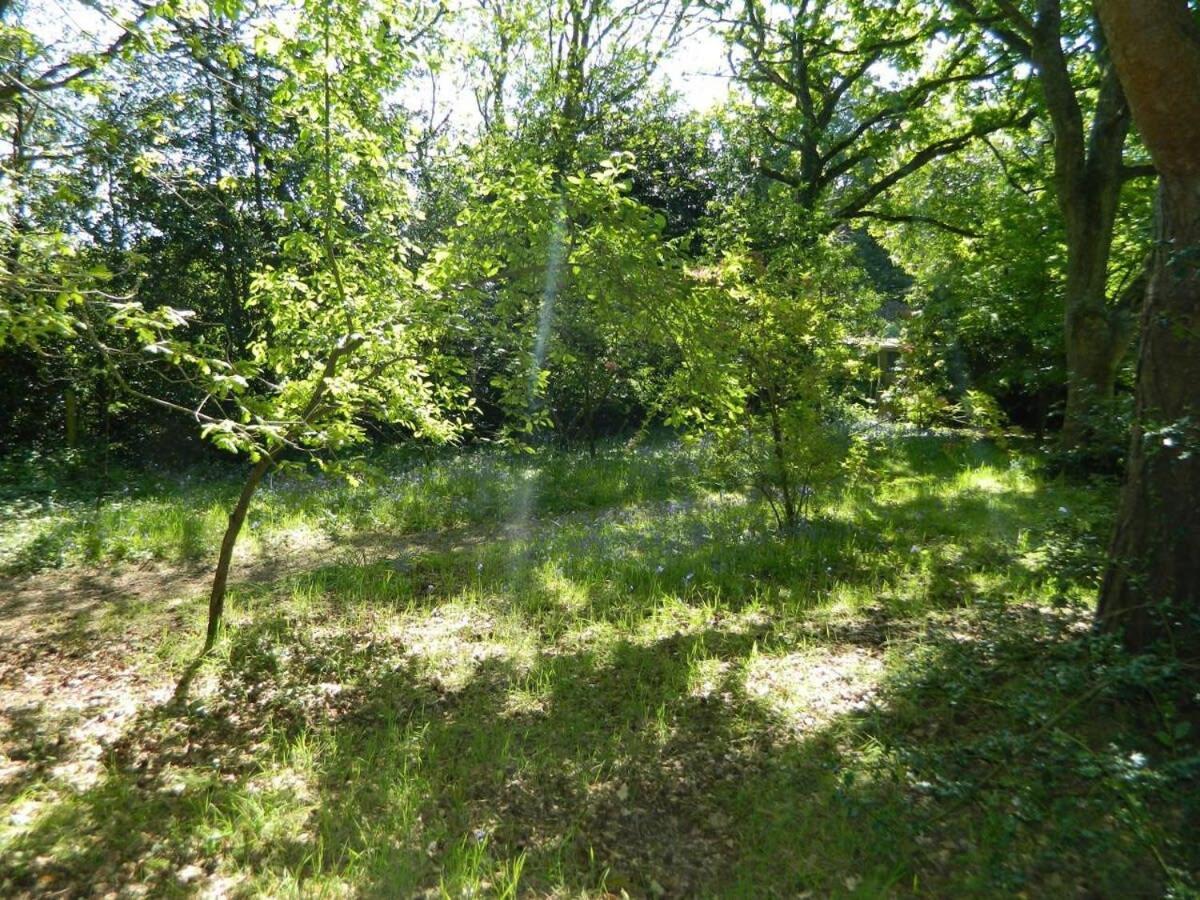 River Cottage A Country Retreat In Wooded Gardens East Stoke  Екстериор снимка